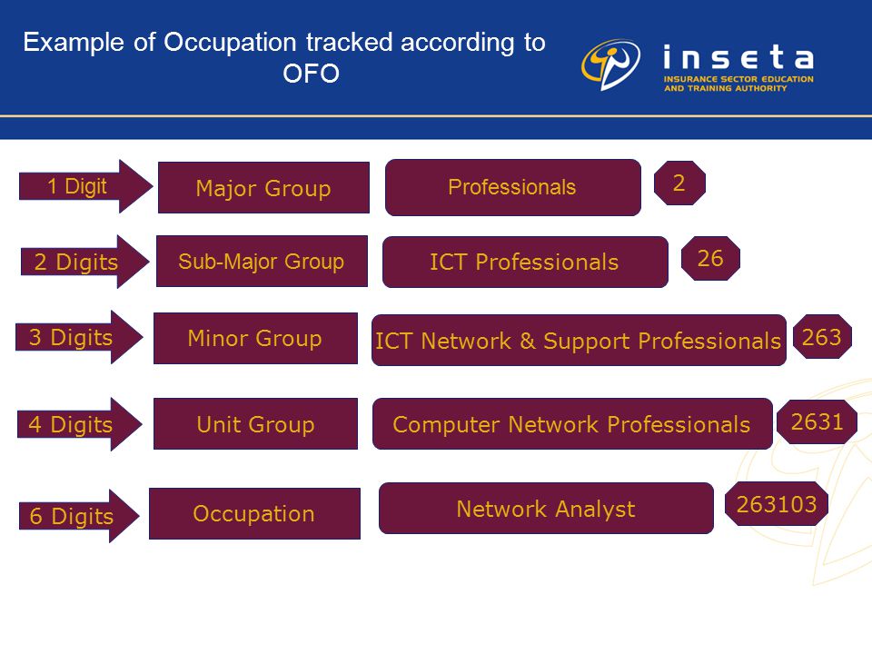 Example of Occupation tracked according to OFO 1 Digit Major Group 2 2 Digits Sub-Major Group ICT Professionals Professionals 26 3 Digits Minor Group ICT Network & Support Professionals Digits Unit GroupComputer Network Professionals Digits Occupation Network Analyst