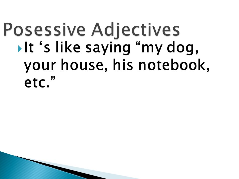  Here are the possessive adjectives in English: my, your, his, her, our, and their.