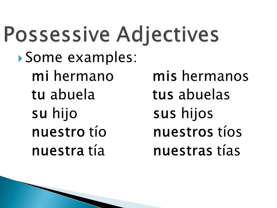  In Spanish, the possessive adjective su has many possible meanings (his, her, its, your, their).