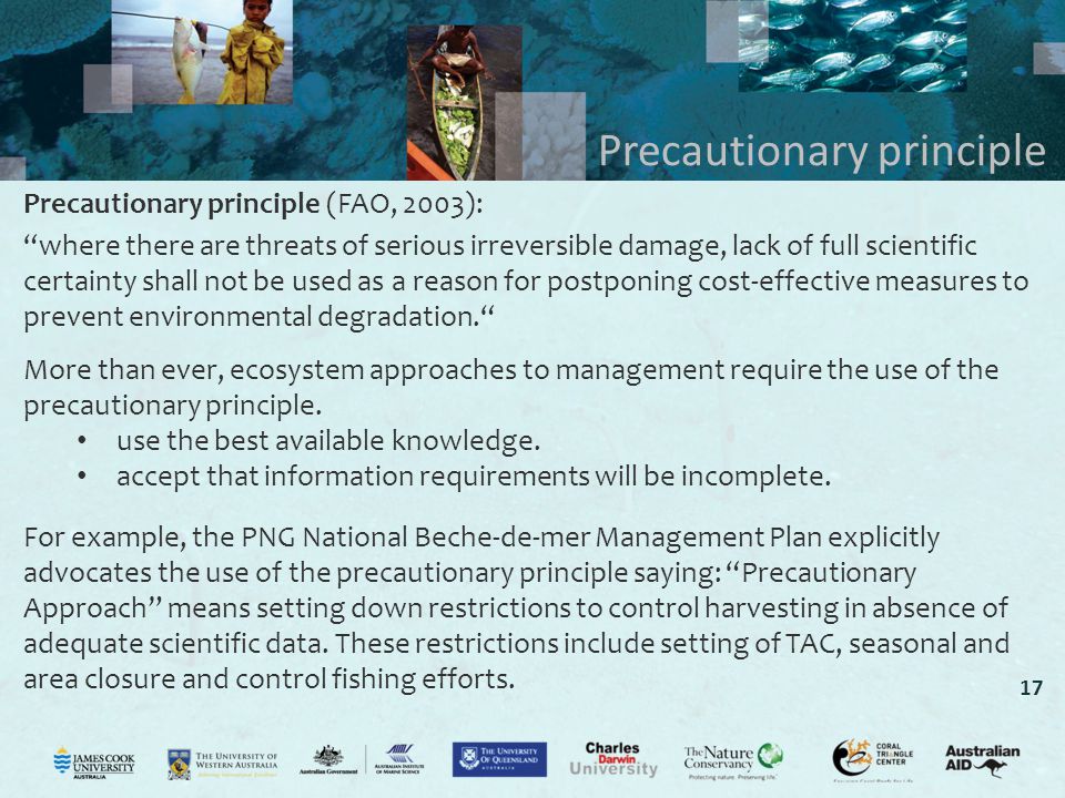 17 Precautionary principle Precautionary principle (FAO, 2003): where there are threats of serious irreversible damage, lack of full scientific certainty shall not be used as a reason for postponing cost-effective measures to prevent environmental degradation. More than ever, ecosystem approaches to management require the use of the precautionary principle.