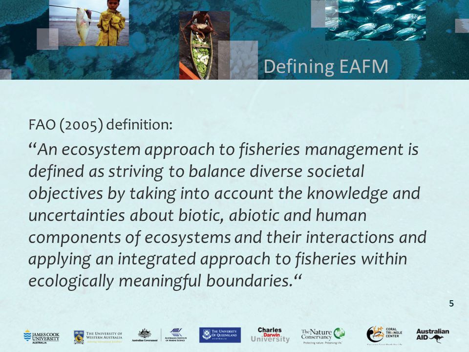 5 Defining EAFM FAO (2005) definition: An ecosystem approach to fisheries management is defined as striving to balance diverse societal objectives by taking into account the knowledge and uncertainties about biotic, abiotic and human components of ecosystems and their interactions and applying an integrated approach to fisheries within ecologically meaningful boundaries.