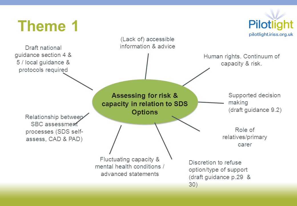Theme 1 Assessing for risk & capacity in relation to SDS Options Human rights.