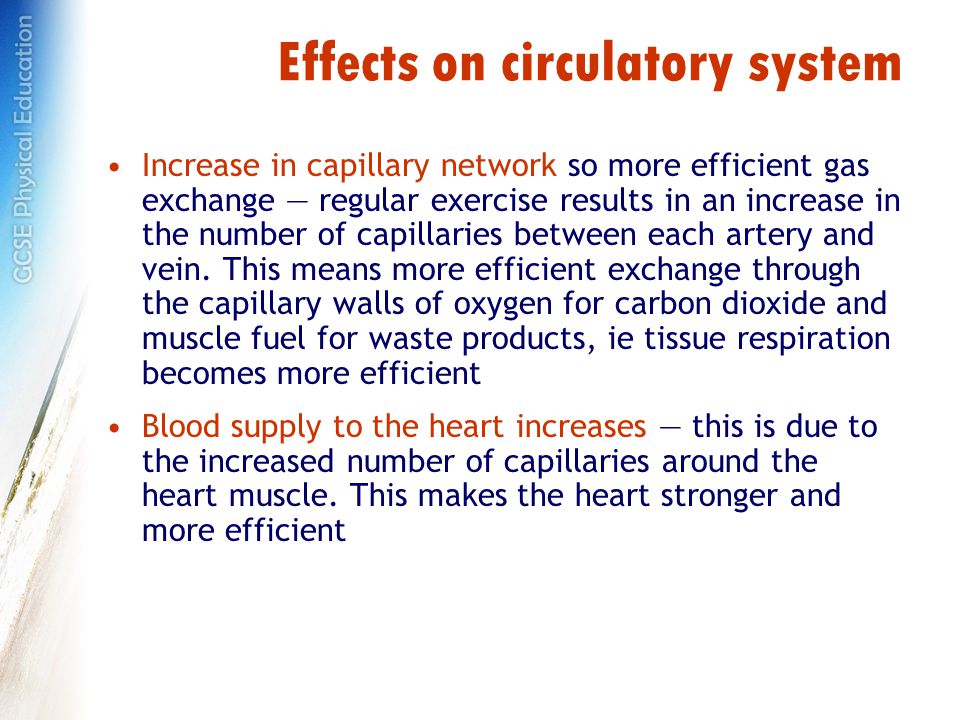 Effects on circulatory system Increase in capillary network so more efficient gas exchange — regular exercise results in an increase in the number of capillaries between each artery and vein.