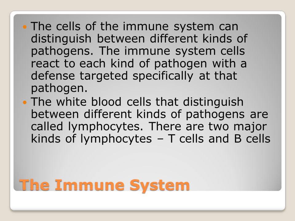 The Immune System The cells of the immune system can distinguish between different kinds of pathogens.