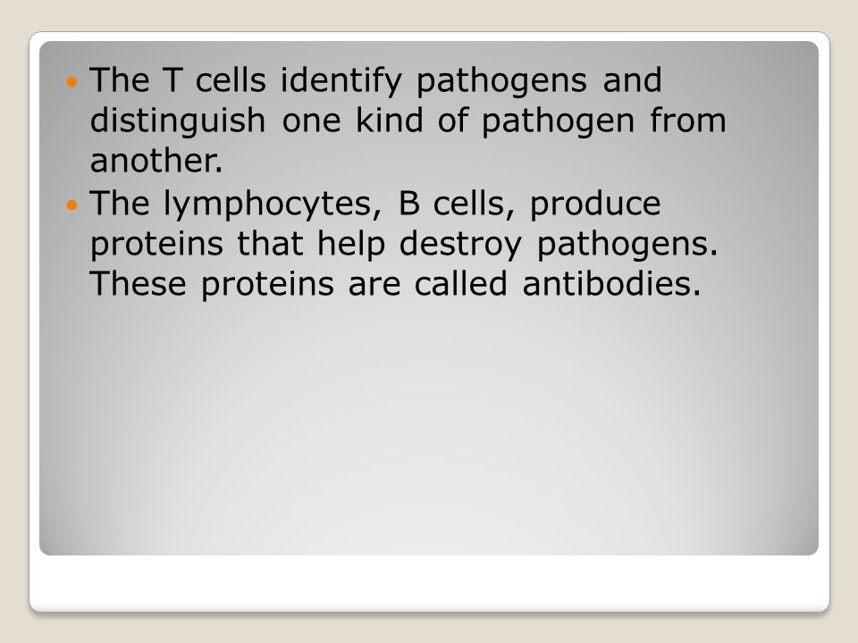 The T cells identify pathogens and distinguish one kind of pathogen from another.