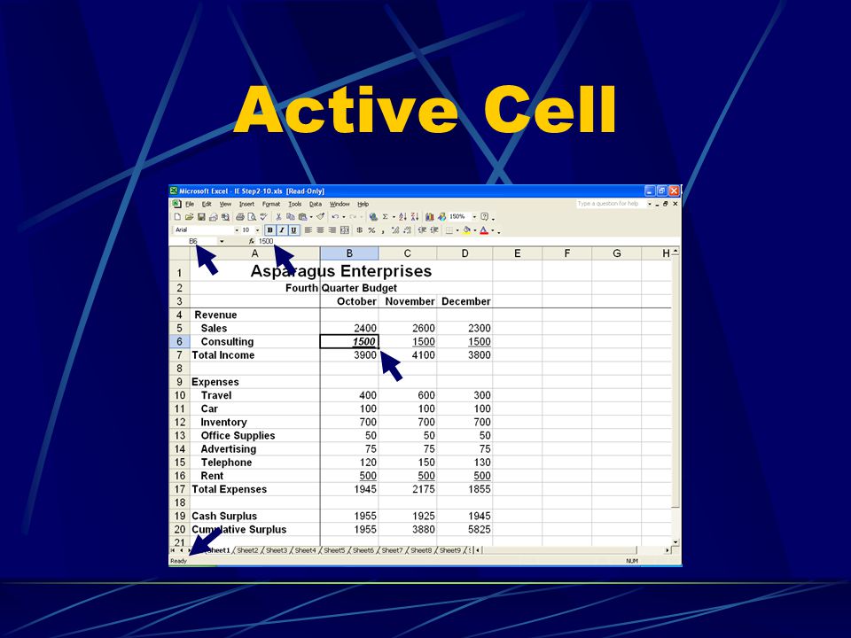 Active Cell