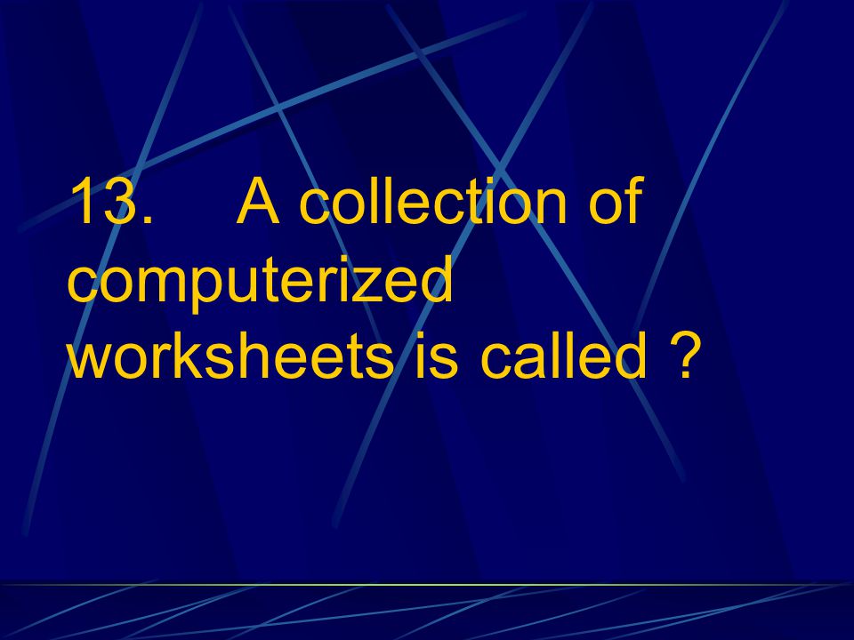 13. A collection of computerized worksheets is called