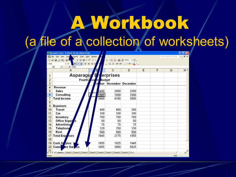 A Workbook (a file of a collection of worksheets)