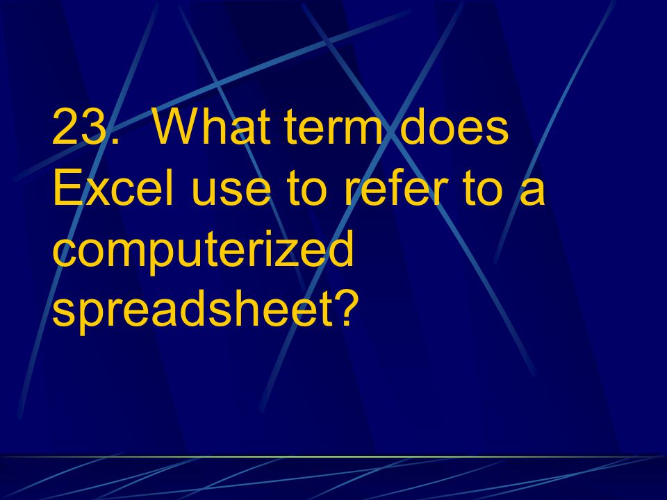 23. What term does Excel use to refer to a computerized spreadsheet