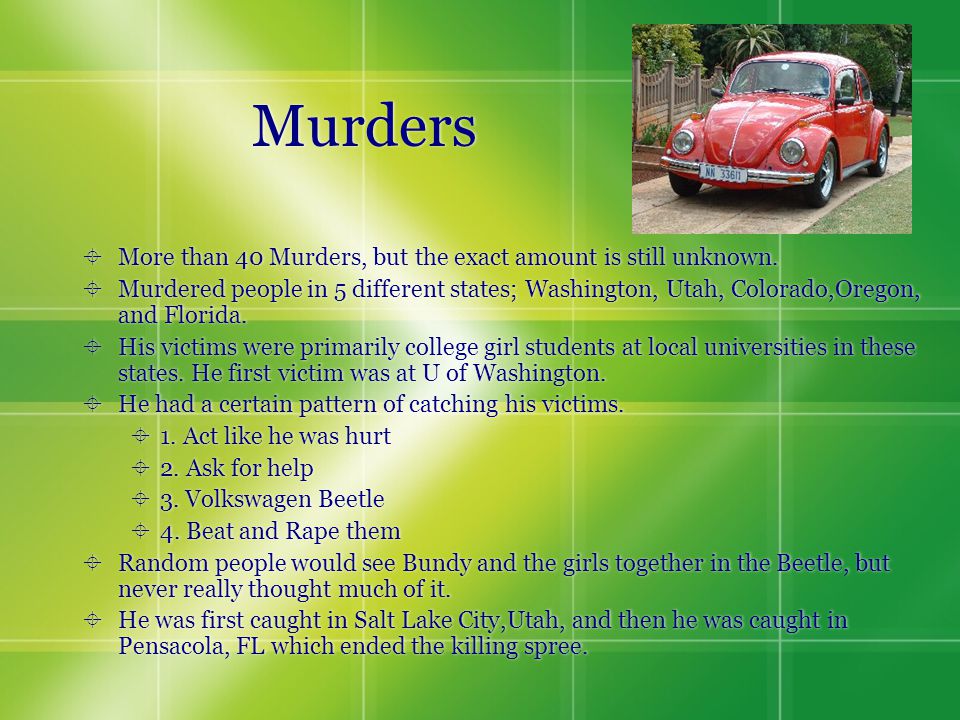 Murders  More than 40 Murders, but the exact amount is still unknown.