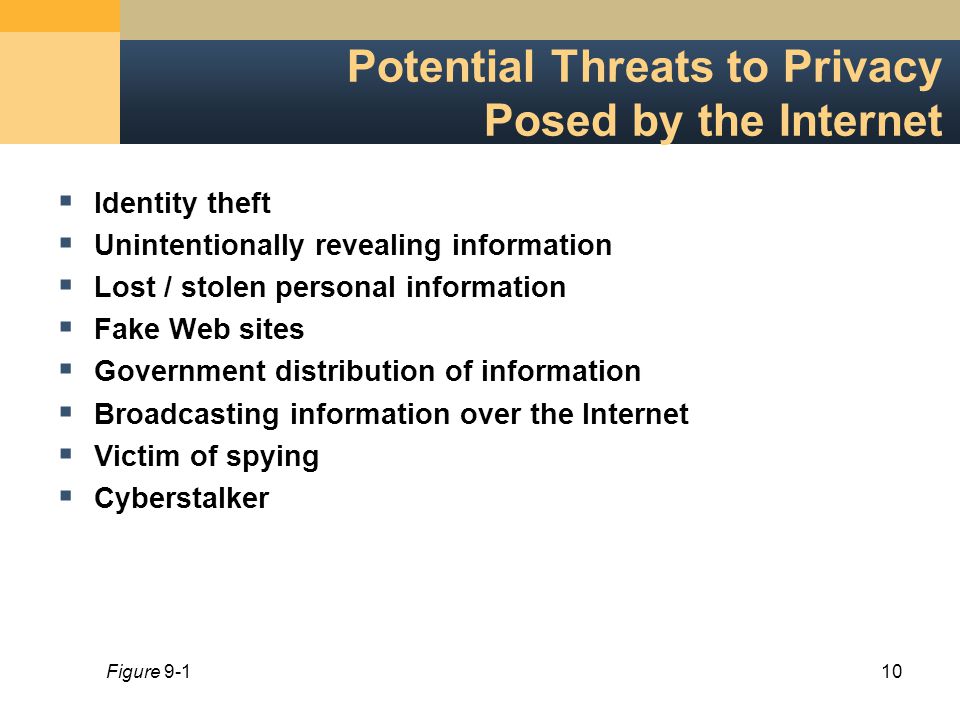 10 Potential Threats to Privacy Posed by the Internet  Identity theft  Unintentionally revealing information  Lost / stolen personal information  Fake Web sites  Government distribution of information  Broadcasting information over the Internet  Victim of spying  Cyberstalker Figure 9-1