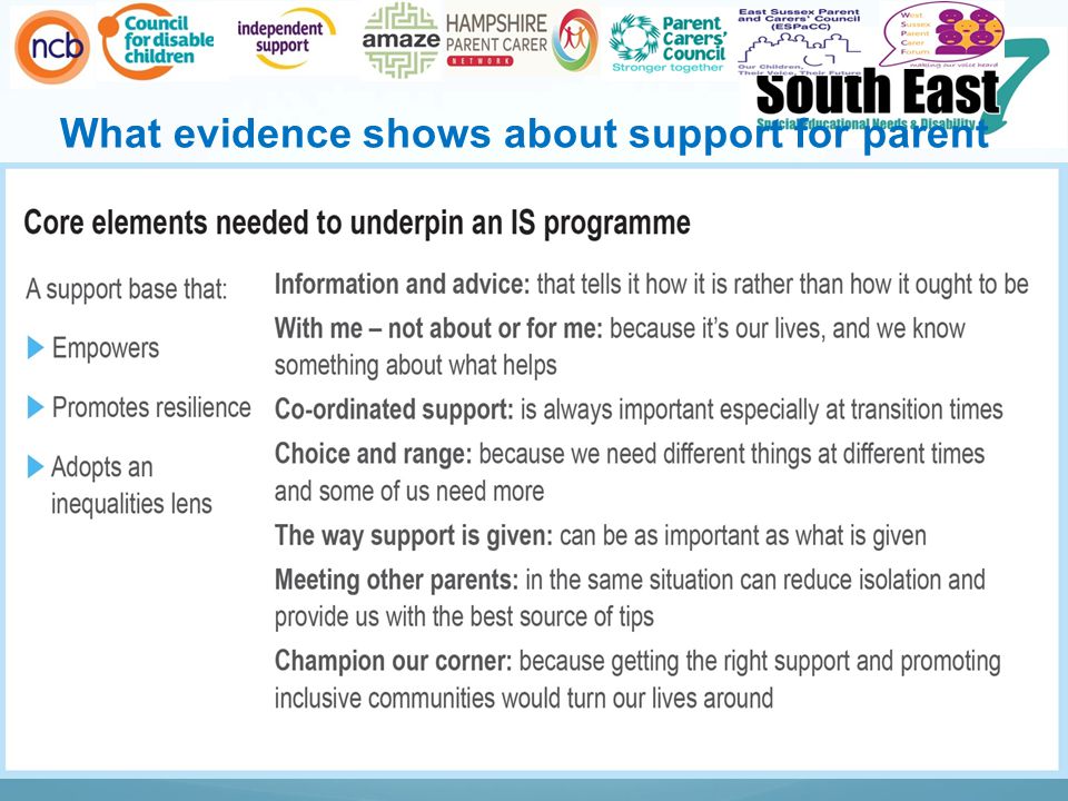 What evidence shows about support for parent carers
