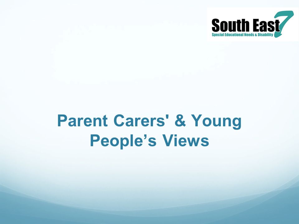 Parent Carers & Young People’s Views
