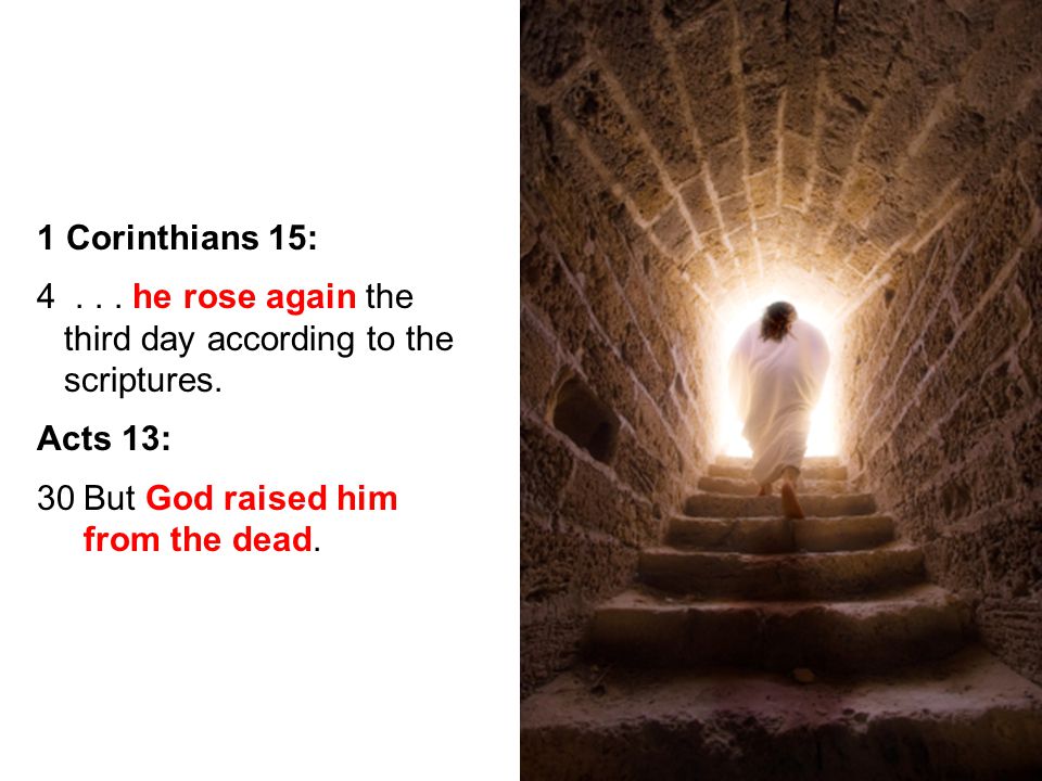 29 1 Corinthians 15: 4... he rose again the third day according to the scriptures.
