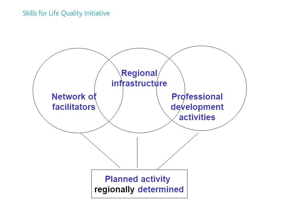 Network of facilitators Regional infrastructure Professional development activities Planned activity regionally determined