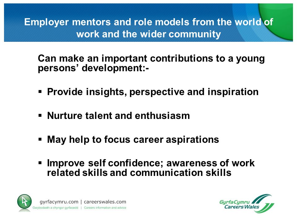 Employer mentors and role models from the world of work and the wider community Can make an important contributions to a young persons’ development:-  Provide insights, perspective and inspiration  Nurture talent and enthusiasm  May help to focus career aspirations  Improve self confidence; awareness of work related skills and communication skills
