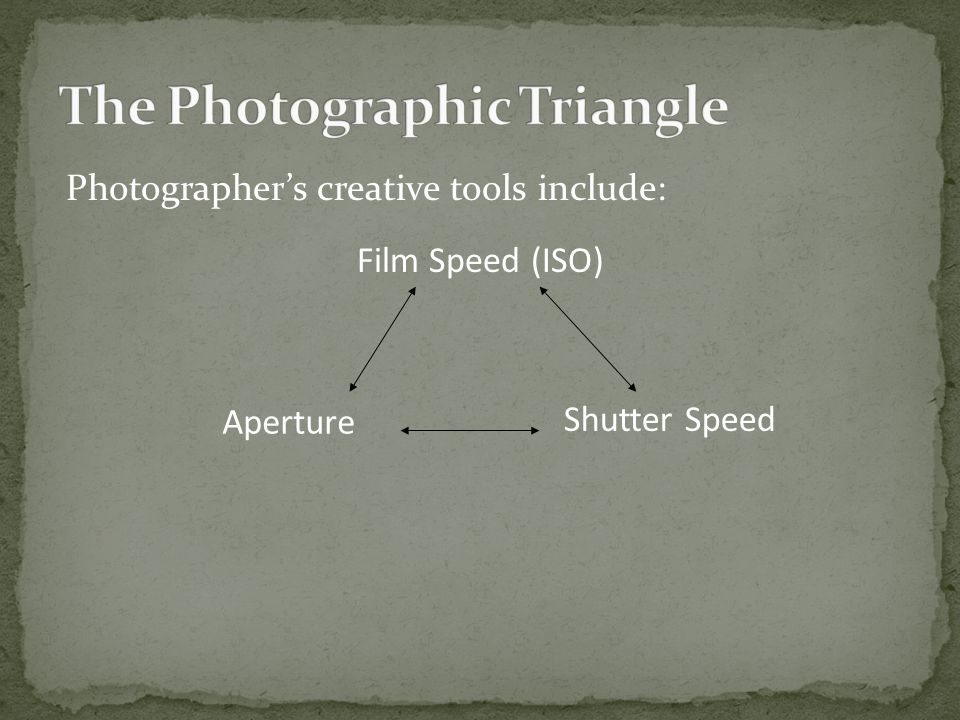 Film Speed (ISO) Shutter Speed Aperture Photographer’s creative tools include: