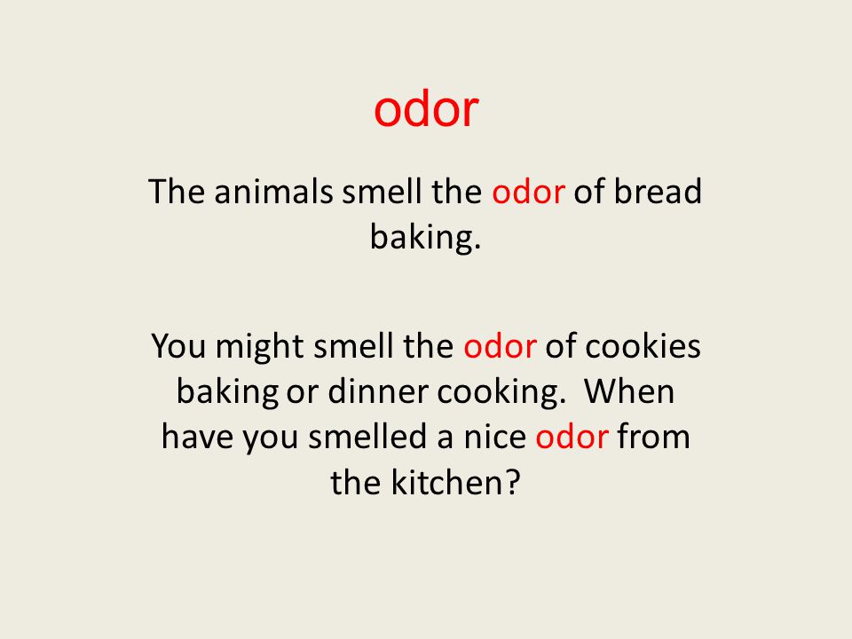 odor The animals smell the odor of bread baking.