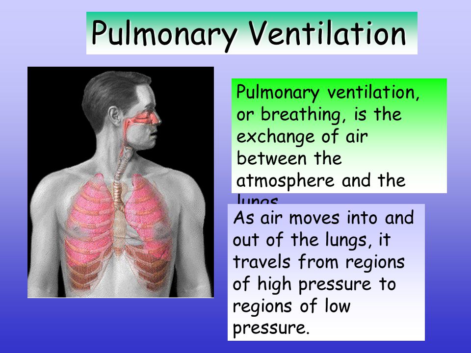 Pulmonary Ventilation Week 3. PulmonaryVentilation Pulmonary Ventilation  Pulmonary ventilation, or breathing, is the exchange of air between the  atmosphere. - ppt download