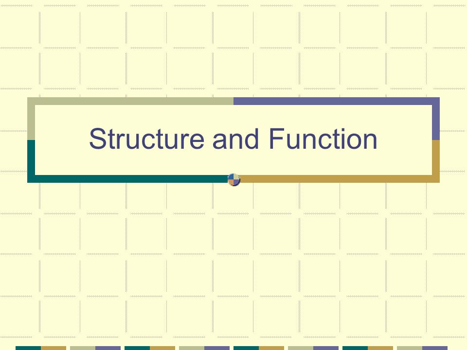 Structure and Function