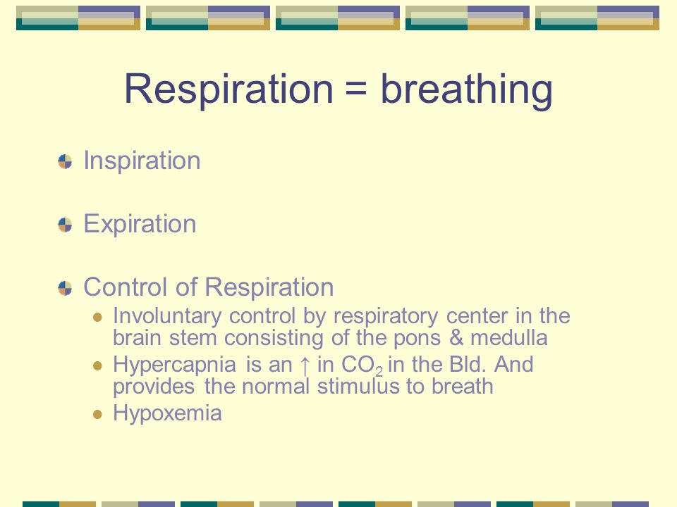 Respiration = breathing Inspiration Expiration Control of Respiration Involuntary control by respiratory center in the brain stem consisting of the pons & medulla Hypercapnia is an ↑ in CO 2 in the Bld.