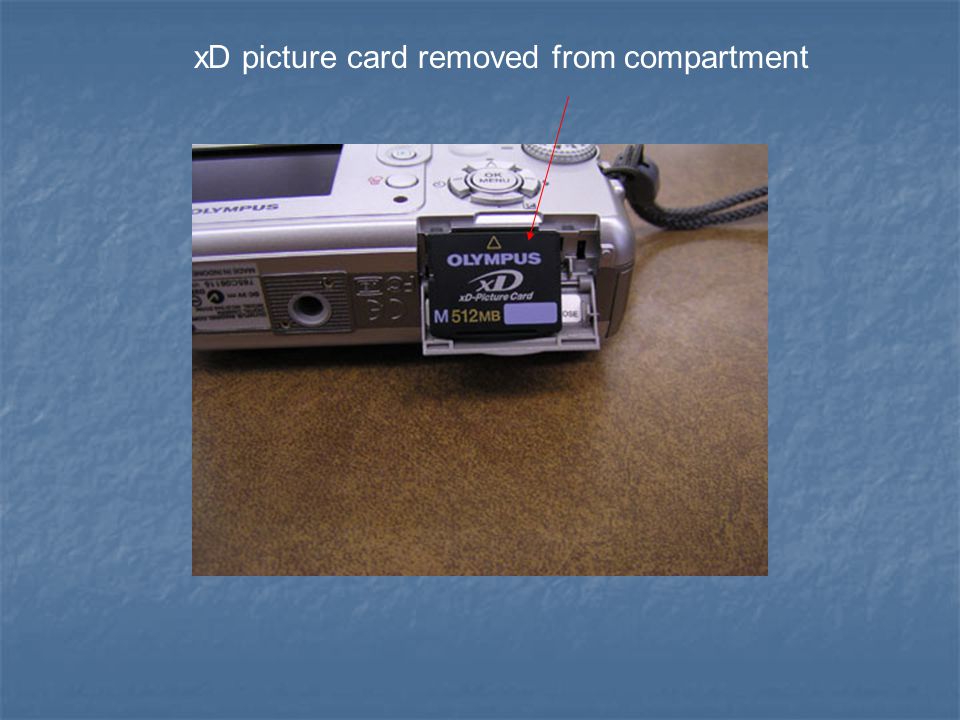 Tripod mount Picture card compartment