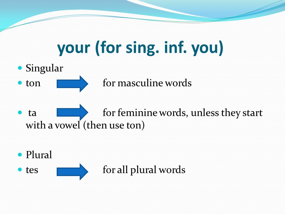 Français B. my Singular mon for masculine words ma for feminine words,  unless they start with a vowel (then use mon) Plural Mes for all plural  words. - ppt download