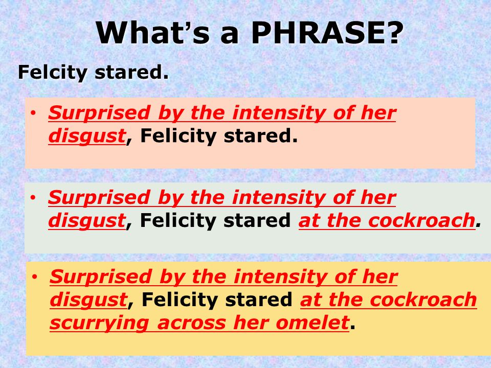 What’s a PHRASE. Felcity stared. Surprised by the intensity of her disgust, Felicity stared.
