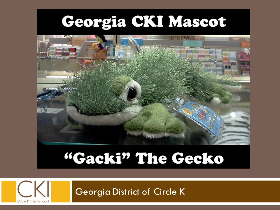 Georgia District of Circle K