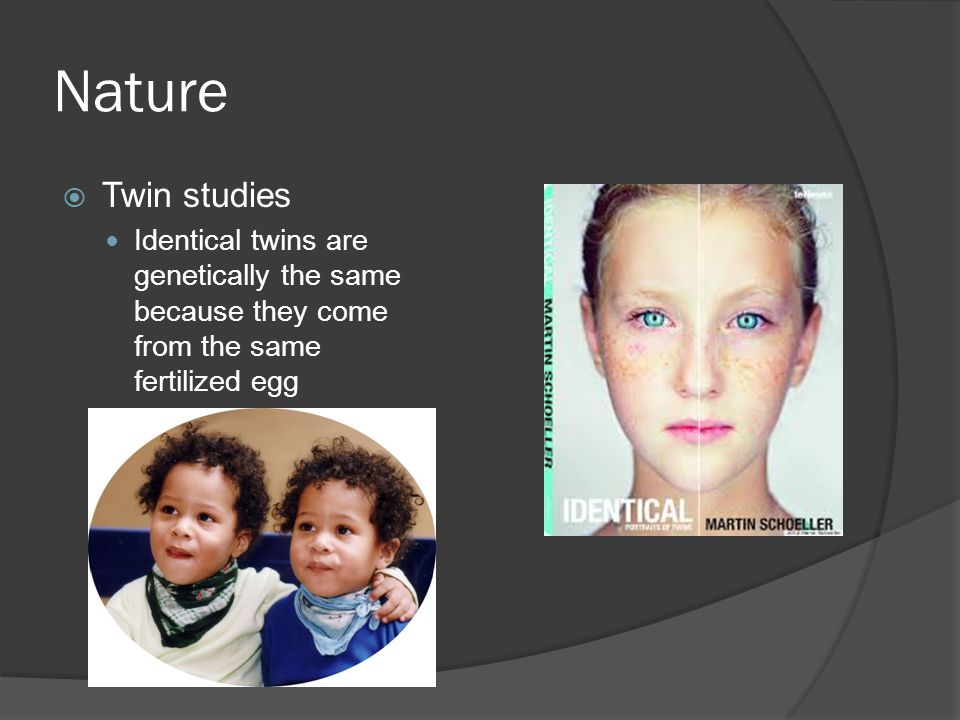 Nature  Twin studies Identical twins are genetically the same because they come from the same fertilized egg