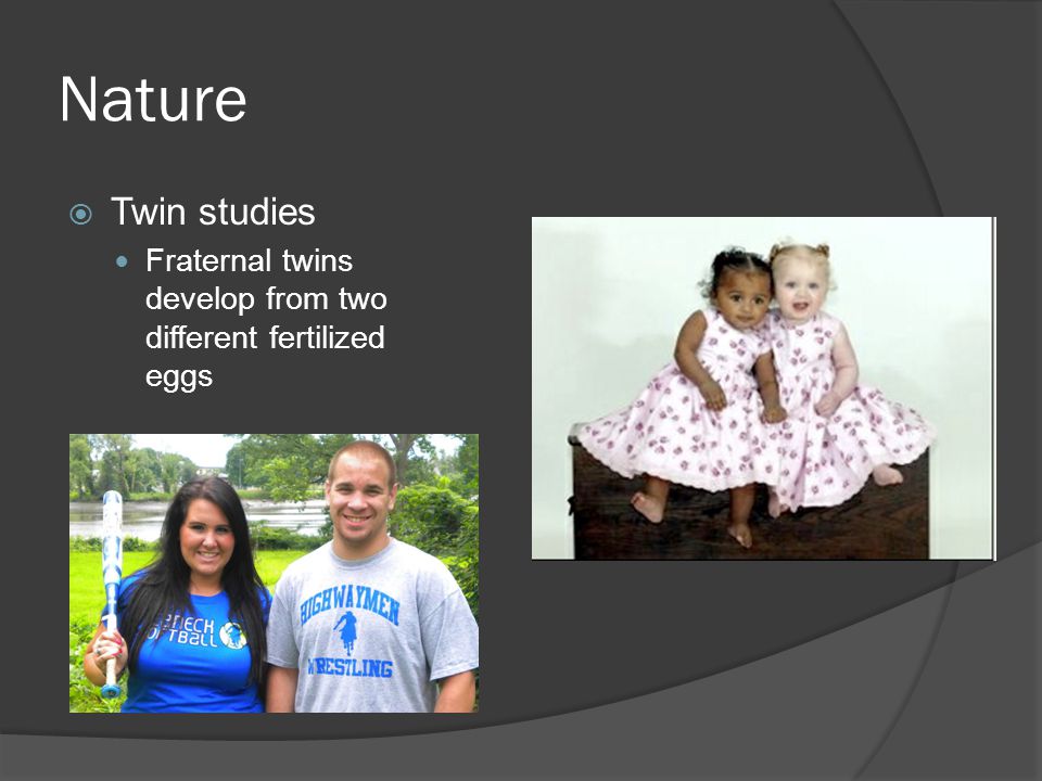 Nature  Twin studies Fraternal twins develop from two different fertilized eggs