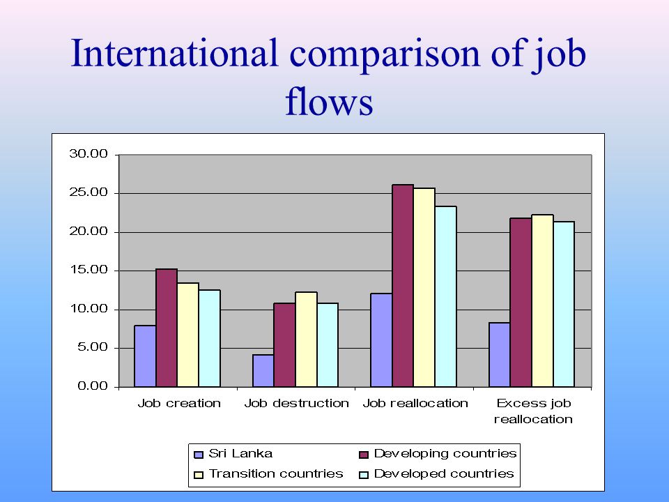 International comparison of job flows
