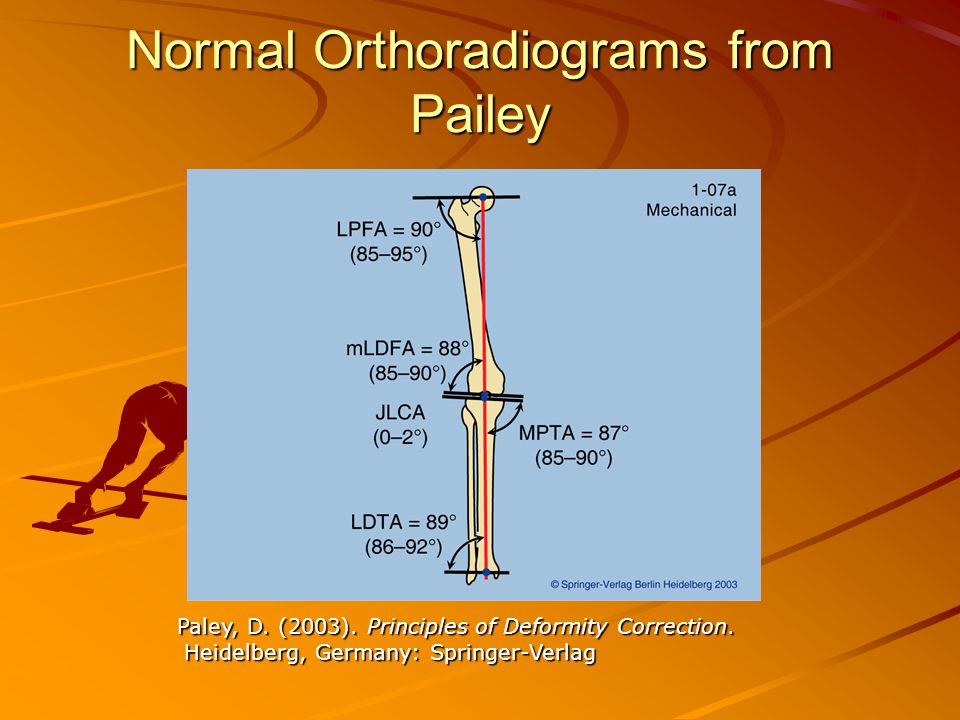 Normal Orthoradiograms from Pailey Paley, D. (2003).
