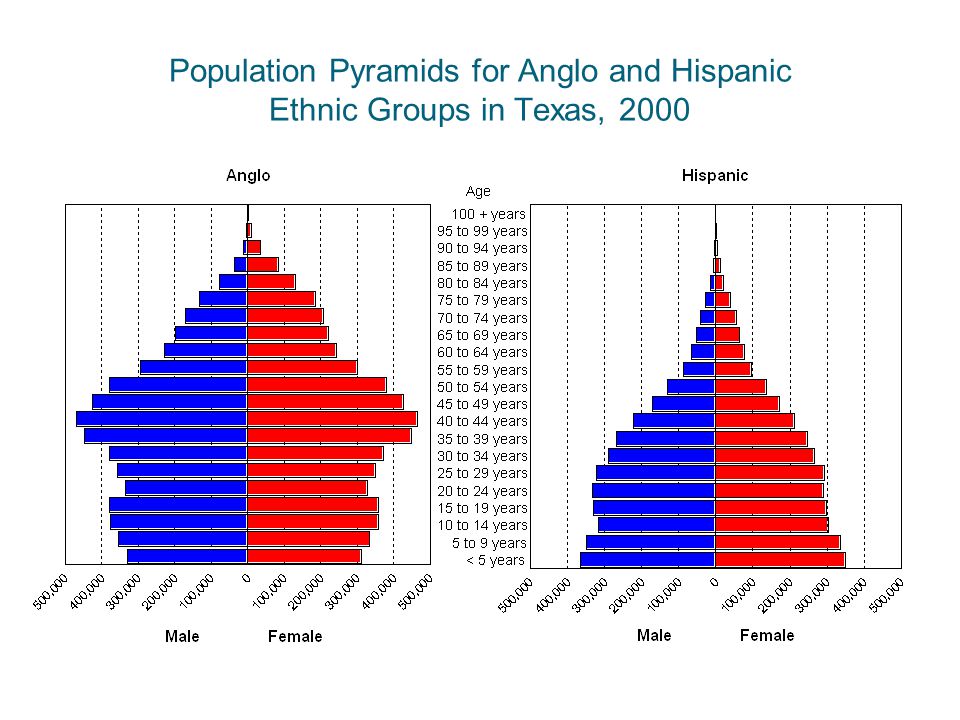 Population Pyramids for Anglo and Hispanic Ethnic Groups in Texas, 2000