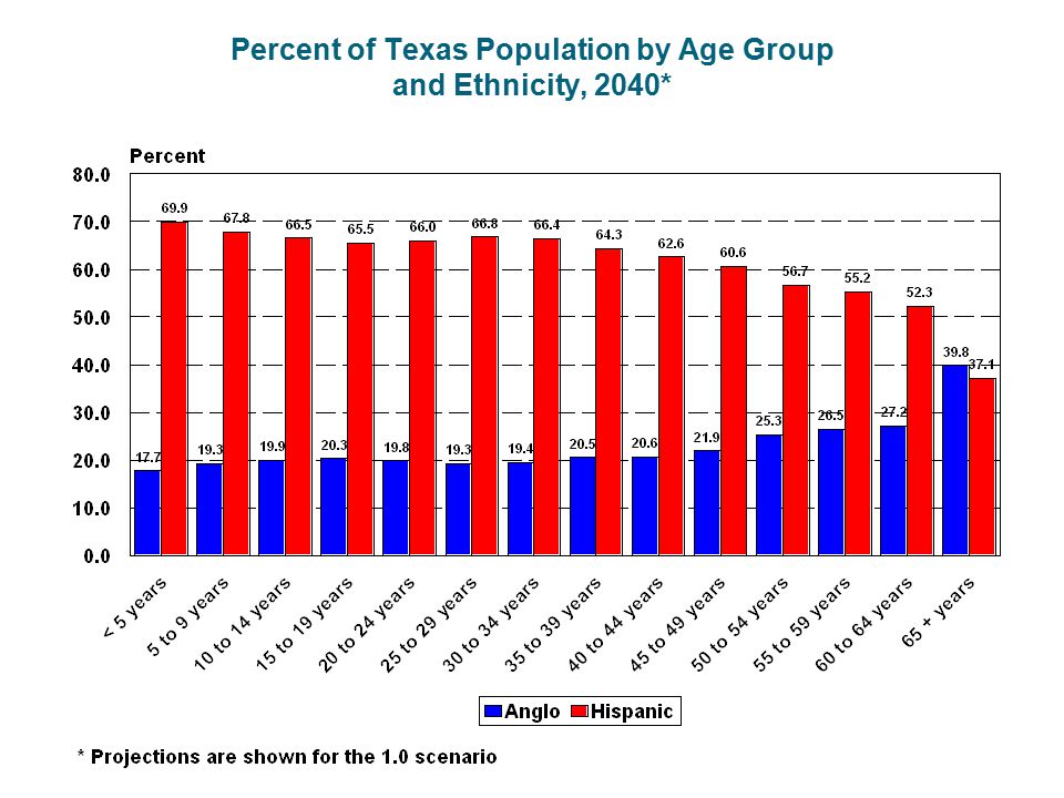 Percent of Texas Population by Age Group and Ethnicity, 2040*