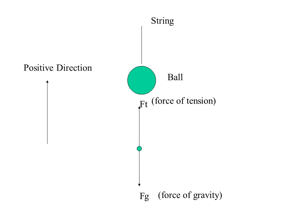 Ft gF Ball String (force of tension) (force of gravity) Positive Direction