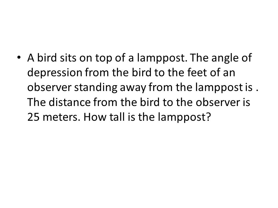 A bird sits on top of a lamppost.