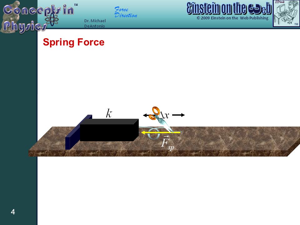 Force Direction 4 Spring Force