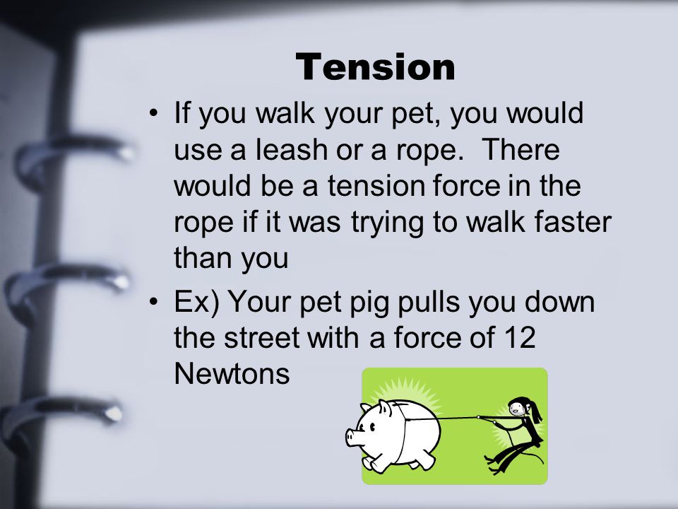 Tension If you walk your pet, you would use a leash or a rope.