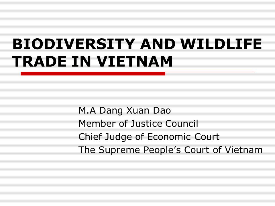 BIODIVERSITY AND WILDLIFE TRADE IN VIETNAM M.A Dang Xuan Dao Member of Justice Council Chief Judge of Economic Court The Supreme People’s Court of Vietnam