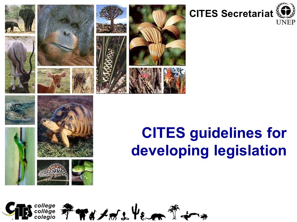 1 CITES guidelines for developing legislation CITES Secretariat