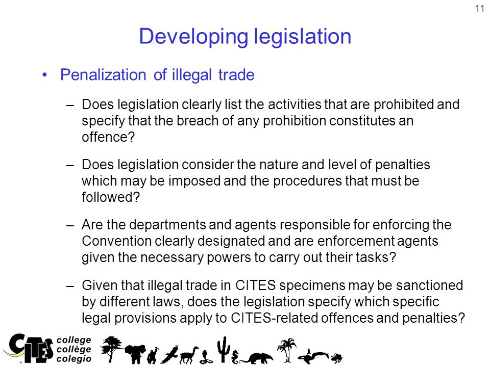 11 Developing legislation Penalization of illegal trade –Does legislation clearly list the activities that are prohibited and specify that the breach of any prohibition constitutes an offence.