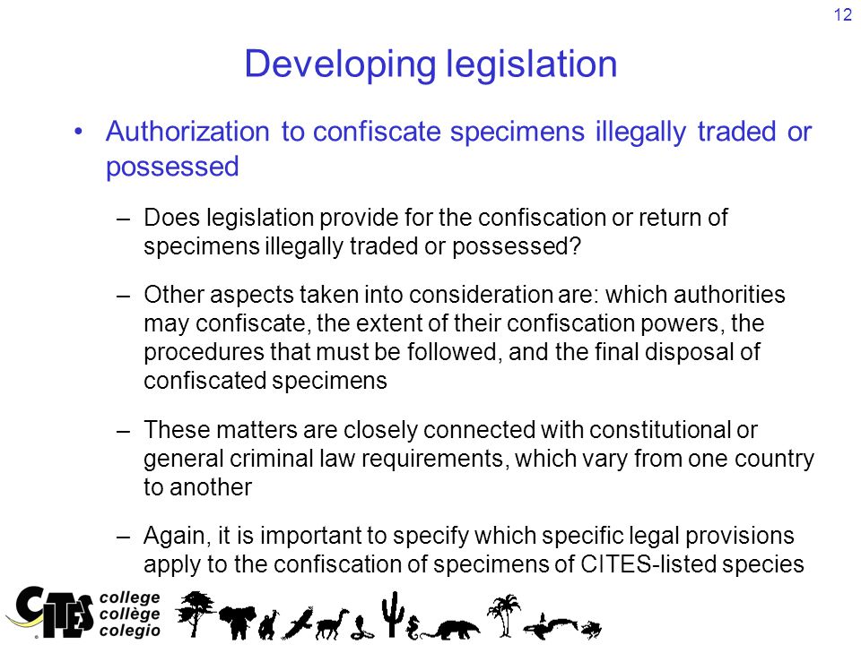 12 Developing legislation Authorization to confiscate specimens illegally traded or possessed –Does legislation provide for the confiscation or return of specimens illegally traded or possessed.