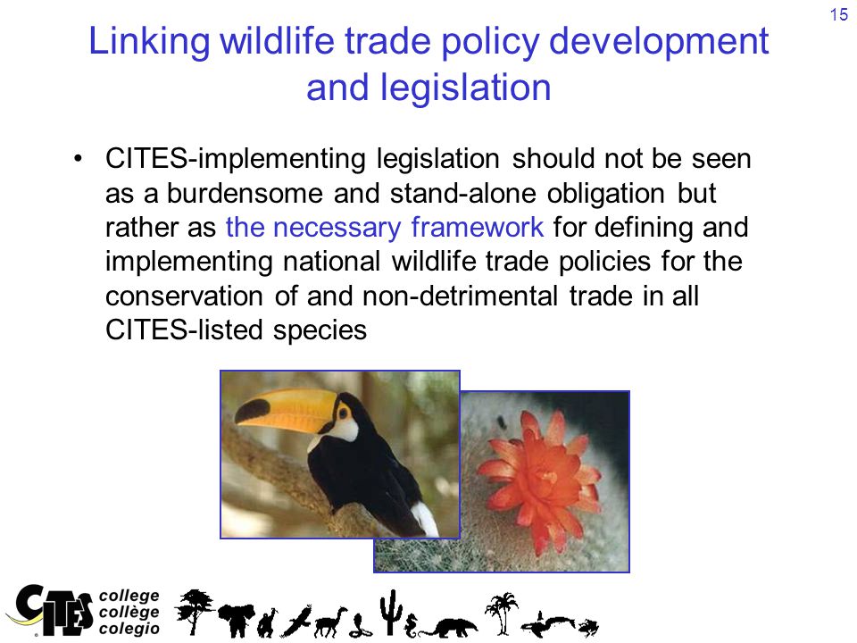 15 Linking wildlife trade policy development and legislation CITES-implementing legislation should not be seen as a burdensome and stand-alone obligation but rather as the necessary framework for defining and implementing national wildlife trade policies for the conservation of and non-detrimental trade in all CITES-listed species