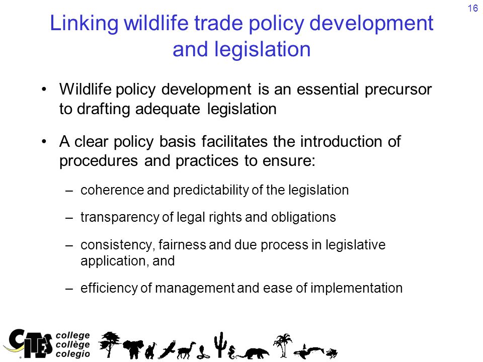 16 Linking wildlife trade policy development and legislation Wildlife policy development is an essential precursor to drafting adequate legislation A clear policy basis facilitates the introduction of procedures and practices to ensure: –coherence and predictability of the legislation –transparency of legal rights and obligations –consistency, fairness and due process in legislative application, and –efficiency of management and ease of implementation