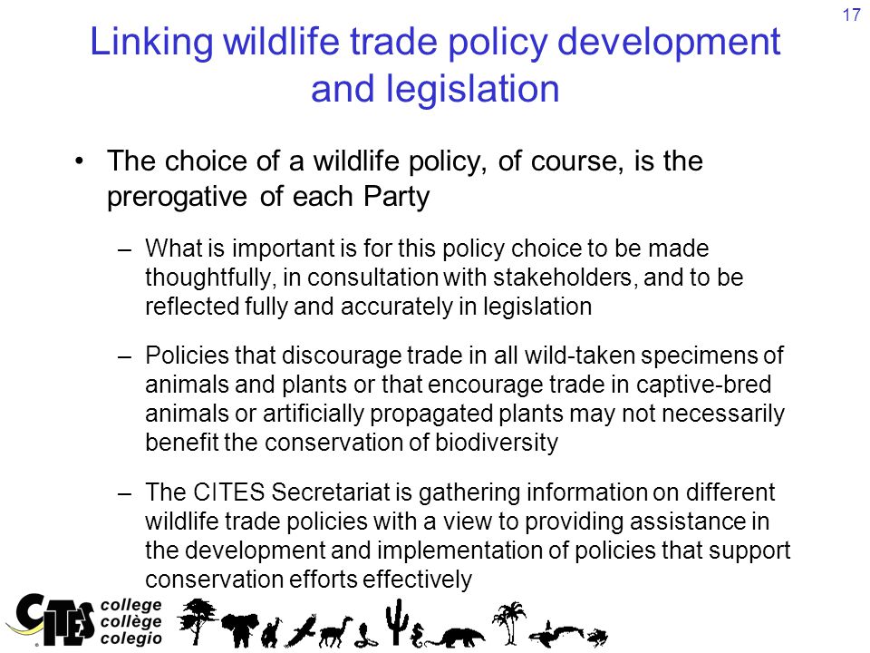 17 Linking wildlife trade policy development and legislation The choice of a wildlife policy, of course, is the prerogative of each Party –What is important is for this policy choice to be made thoughtfully, in consultation with stakeholders, and to be reflected fully and accurately in legislation –Policies that discourage trade in all wild-taken specimens of animals and plants or that encourage trade in captive-bred animals or artificially propagated plants may not necessarily benefit the conservation of biodiversity –The CITES Secretariat is gathering information on different wildlife trade policies with a view to providing assistance in the development and implementation of policies that support conservation efforts effectively