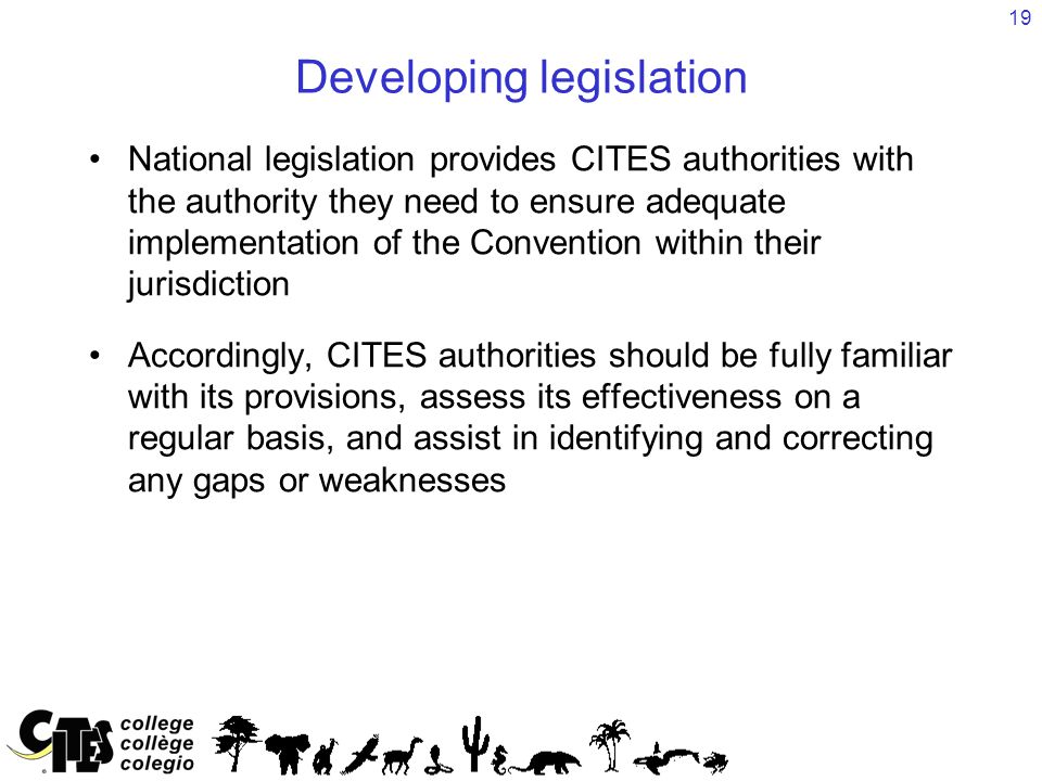 19 Developing legislation National legislation provides CITES authorities with the authority they need to ensure adequate implementation of the Convention within their jurisdiction Accordingly, CITES authorities should be fully familiar with its provisions, assess its effectiveness on a regular basis, and assist in identifying and correcting any gaps or weaknesses