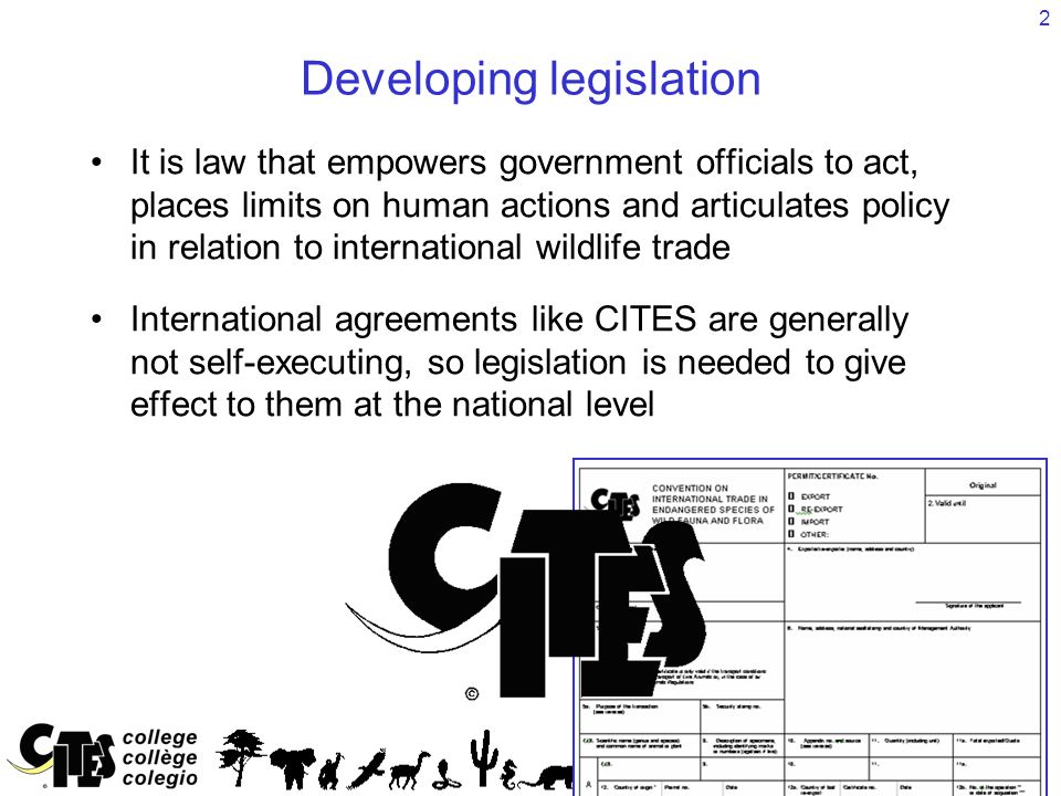 2 Developing legislation It is law that empowers government officials to act, places limits on human actions and articulates policy in relation to international wildlife trade International agreements like CITES are generally not self-executing, so legislation is needed to give effect to them at the national level