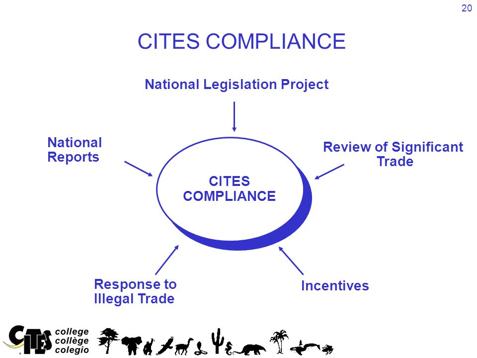 20 CITES COMPLIANCE CITES COMPLIANCE National Legislation Project Incentives Response to Illegal Trade National Reports Review of Significant Trade