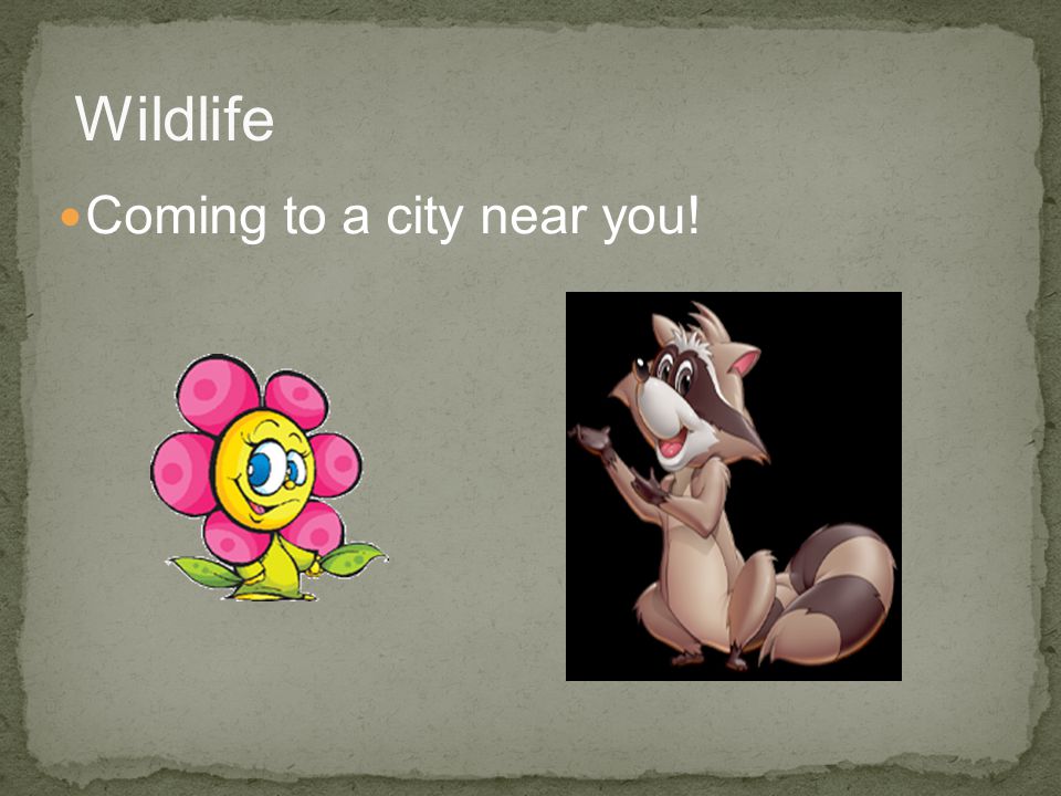 Coming to a city near you! Wildlife
